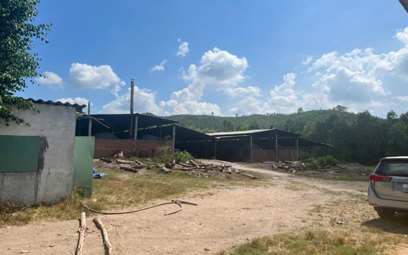 Than củi trắng Binchotan