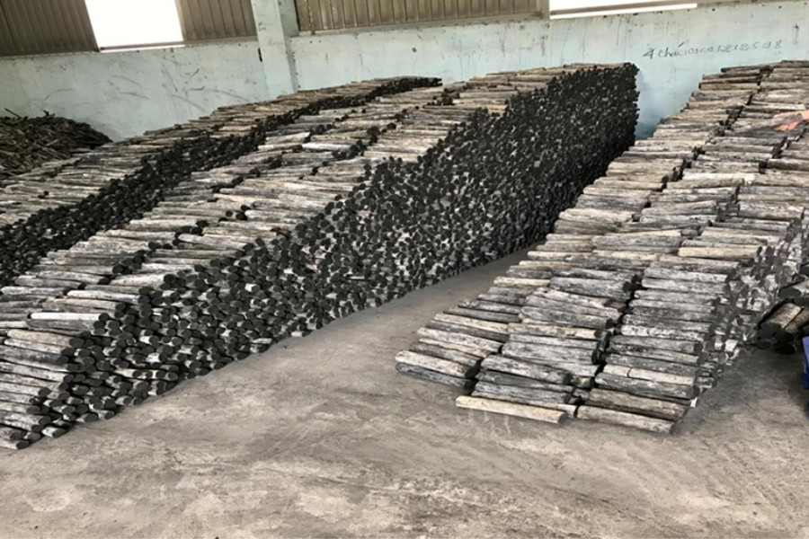 cung cấp và phân phối than trên toàn quốc