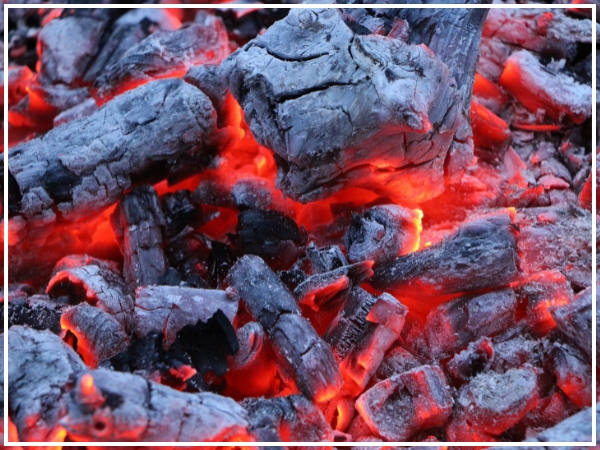 Xưởng sản xuất than củi tại Gia Lai Uy Tín